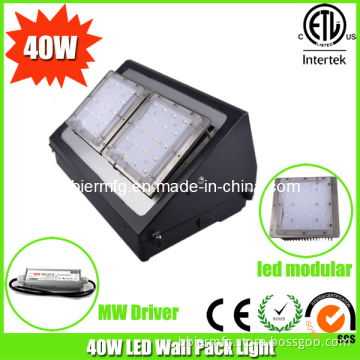 Building Lighting Decoration of LED Wall Pack Light Bridgelux LED Chip UL Meanwell Driver Waterproof IP65